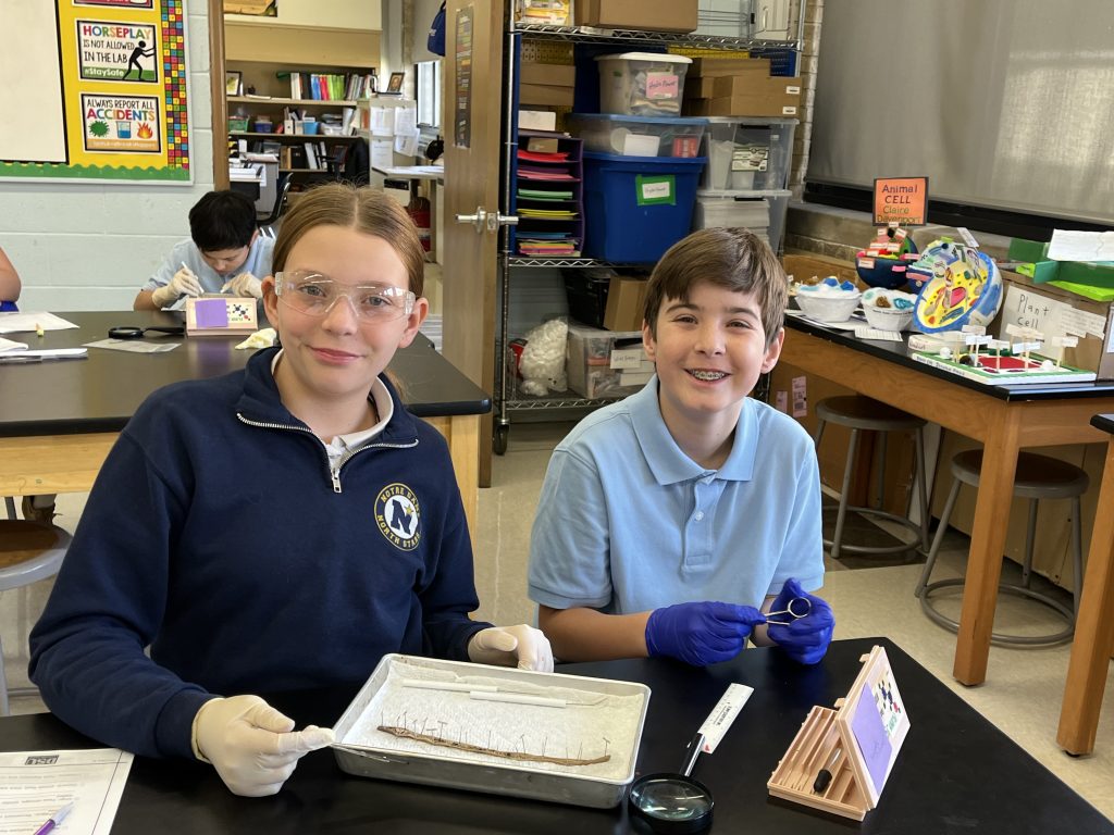 6th grade students working on a science lab.